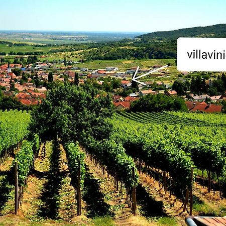 Villa Vinica Limbach Dış mekan fotoğraf