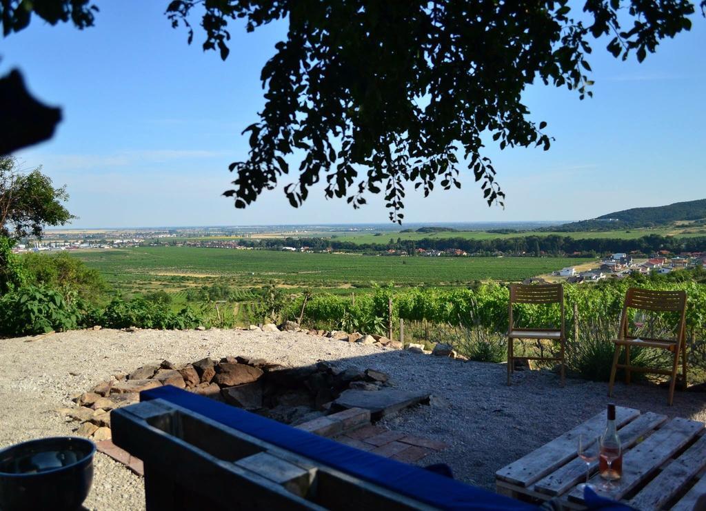 Villa Vinica Limbach Dış mekan fotoğraf