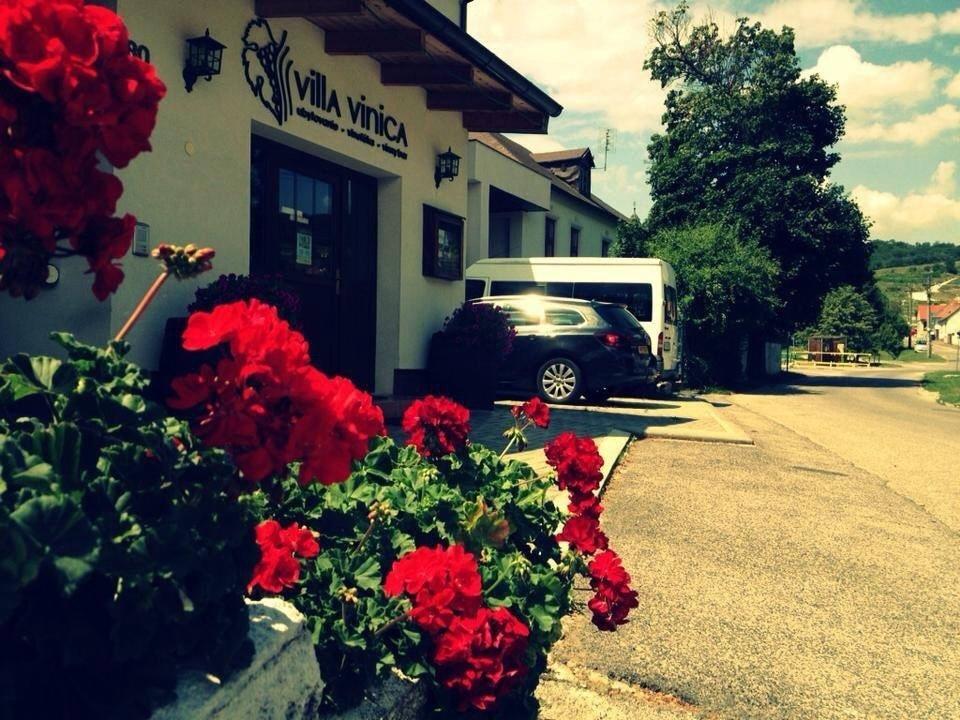 Villa Vinica Limbach Dış mekan fotoğraf