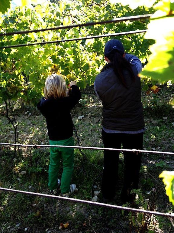 Villa Vinica Limbach Dış mekan fotoğraf