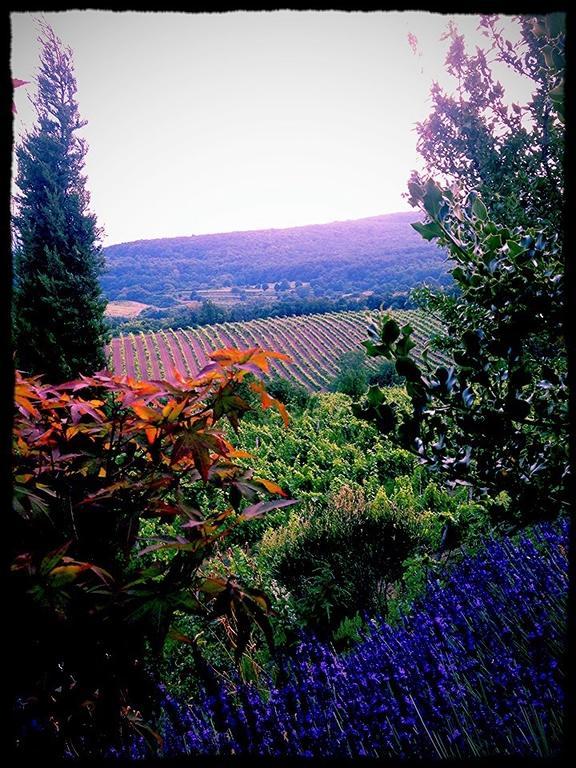 Villa Vinica Limbach Dış mekan fotoğraf