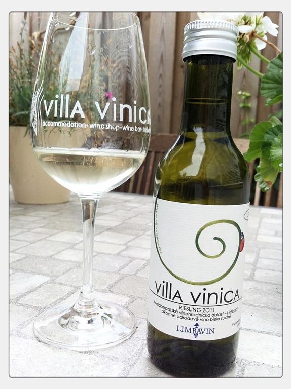 Villa Vinica Limbach Dış mekan fotoğraf