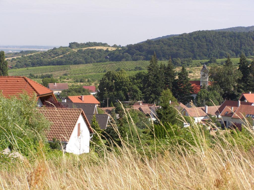 Villa Vinica Limbach Dış mekan fotoğraf
