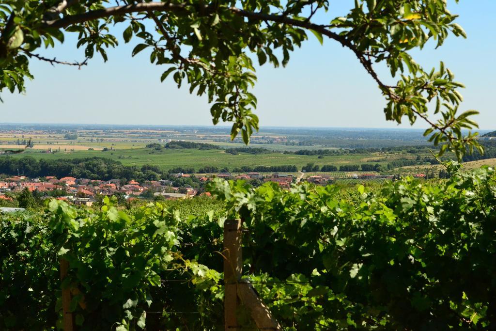 Villa Vinica Limbach Dış mekan fotoğraf