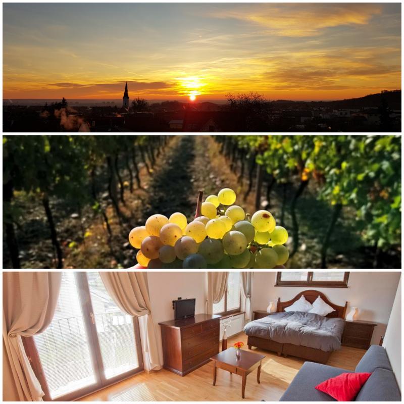 Villa Vinica Limbach Dış mekan fotoğraf