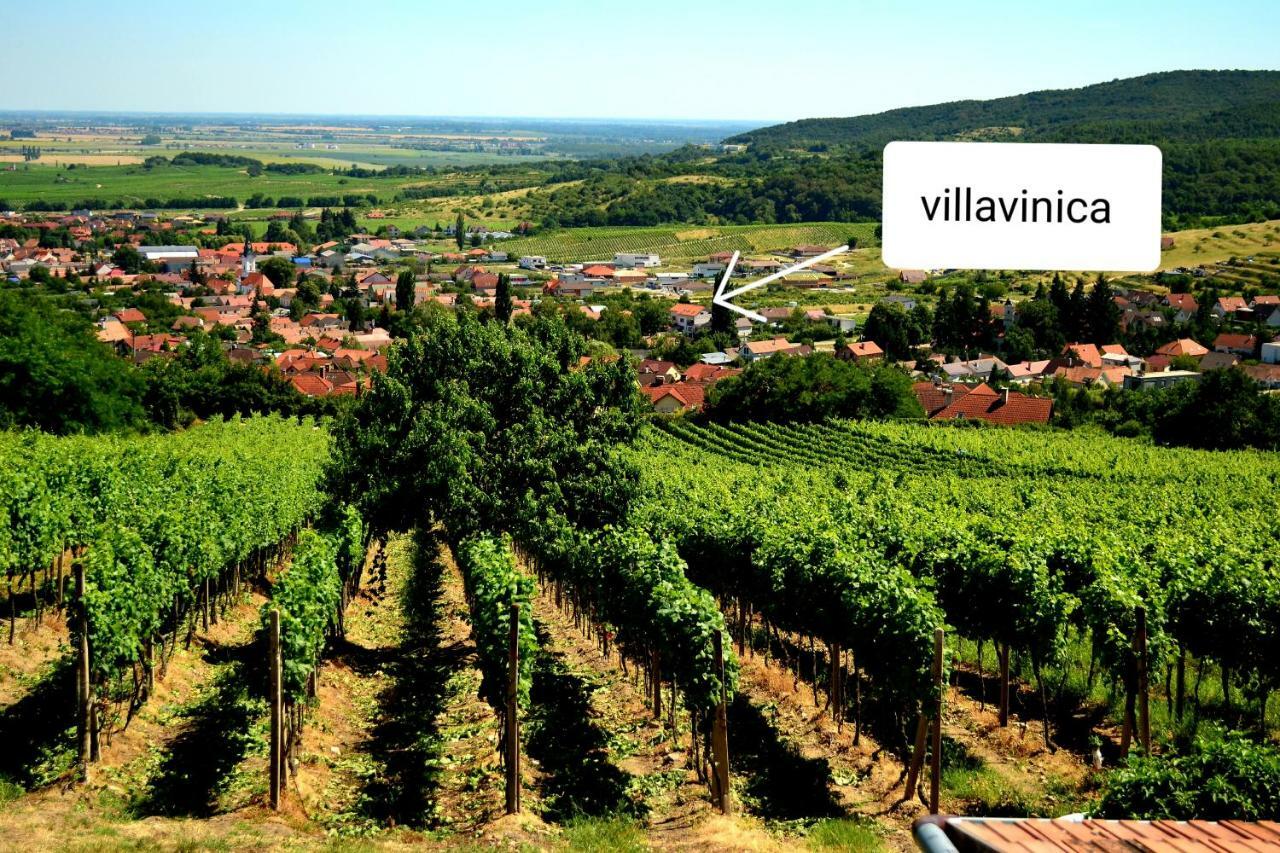 Villa Vinica Limbach Dış mekan fotoğraf