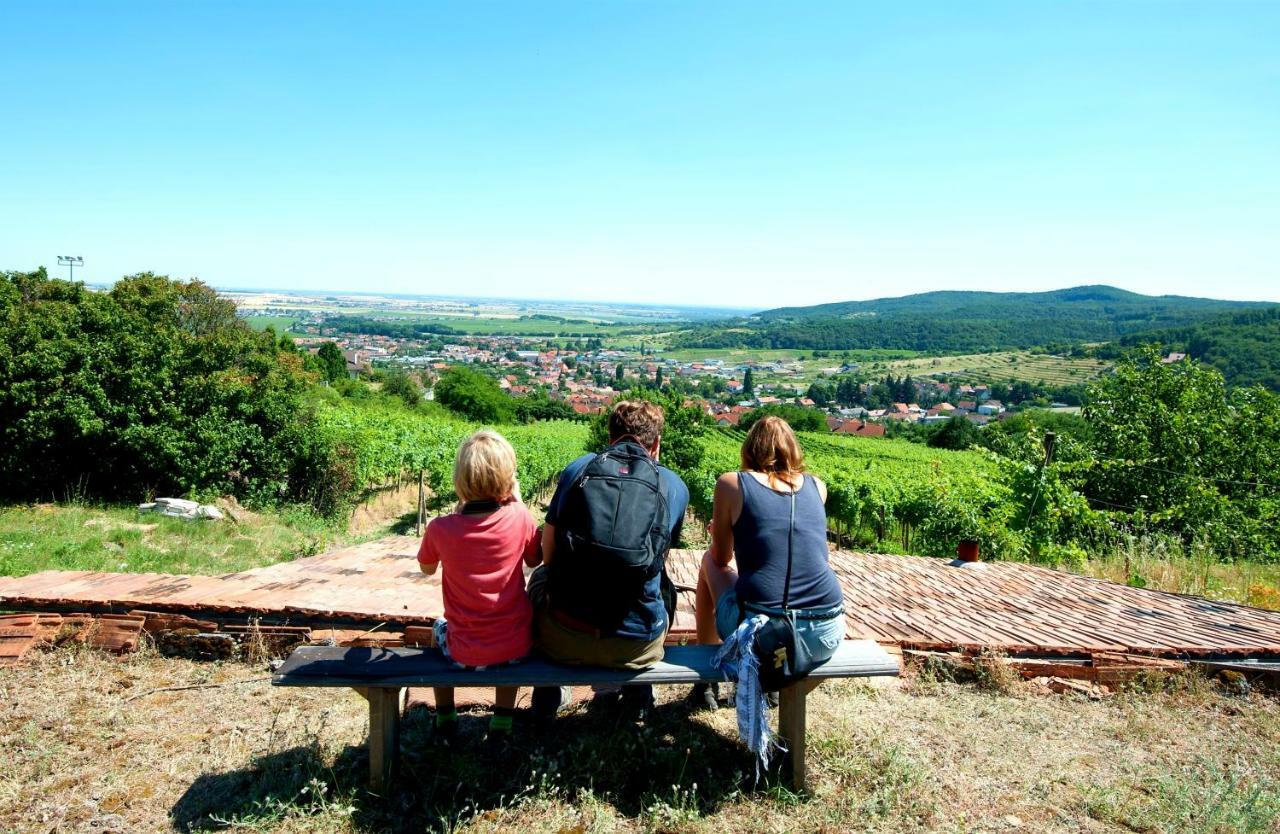 Villa Vinica Limbach Dış mekan fotoğraf